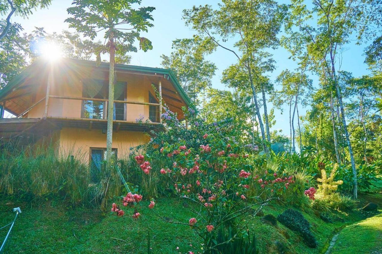 Bed and Breakfast Manoas Uvita Exteriér fotografie